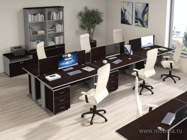 мебель Swift Wenge