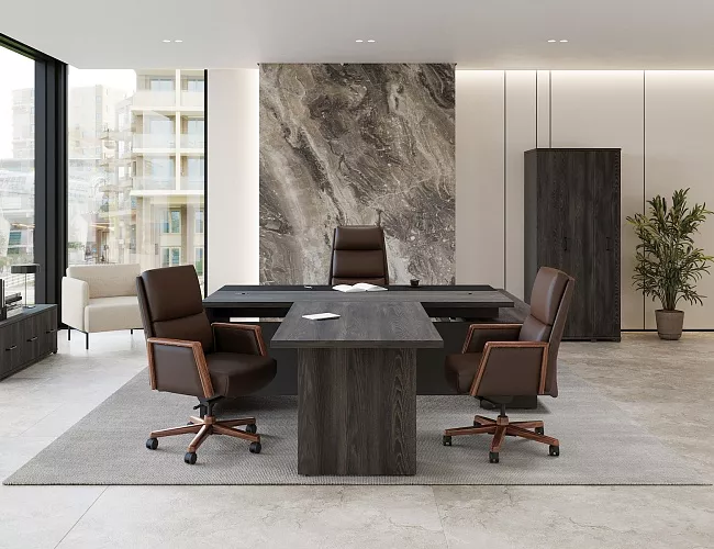 фото Кабинет руководителя Дюкс №2