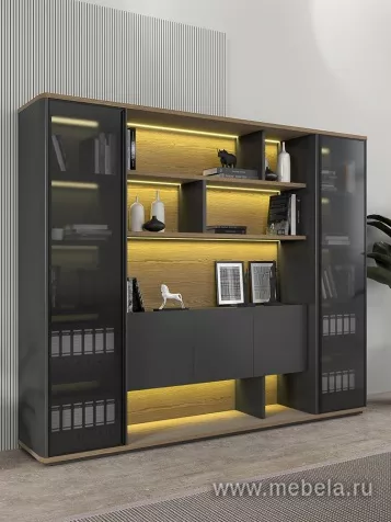 Кабинет руководителя Ион