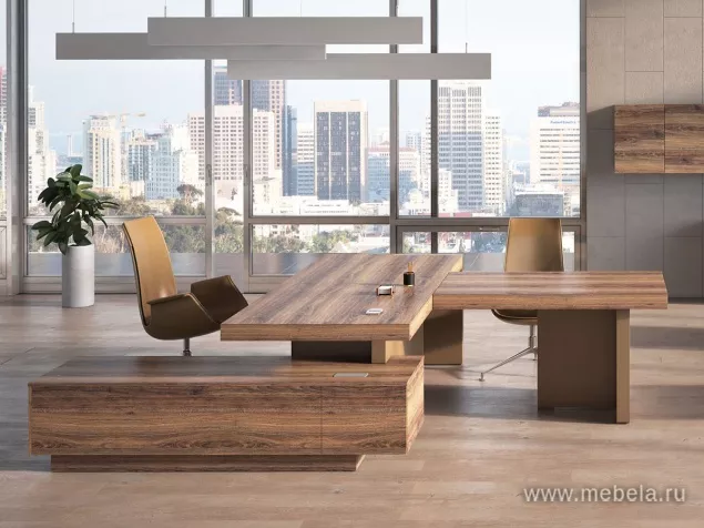 кабинет руководителя Era