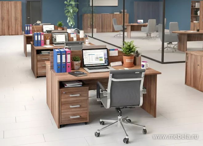 офисная мебель Argo