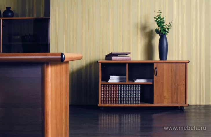 кабинет Престиж