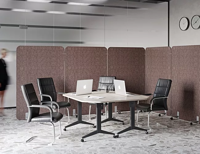 фото перегородки R-line Soft №3