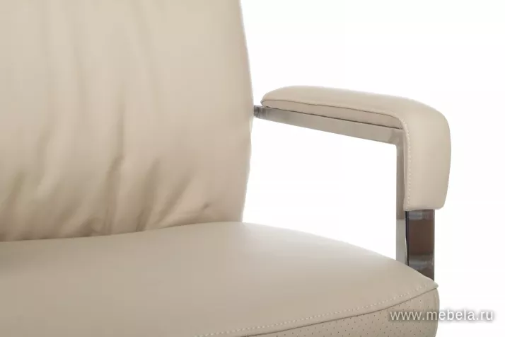 кресло RV-Leon-M