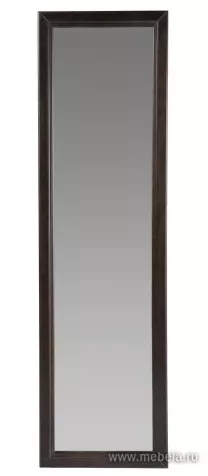 Зеркало Селена