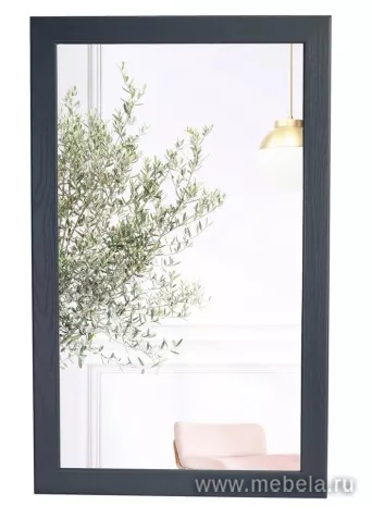 Зеркало Берже 24-105