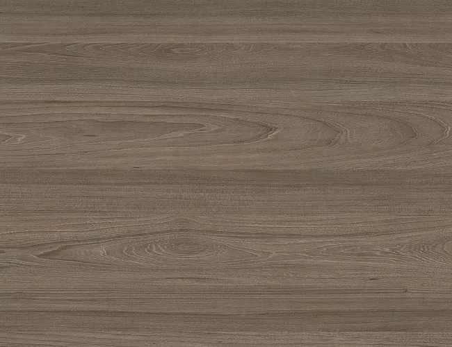 фото Мебель Лайт Вяз №3