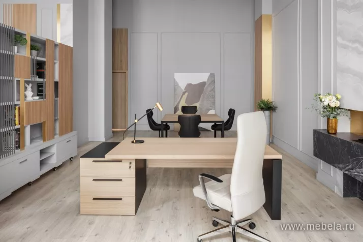 кабинет Renz Light