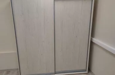 Проект Алион