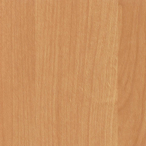 фото мебель Агат Ольха №5