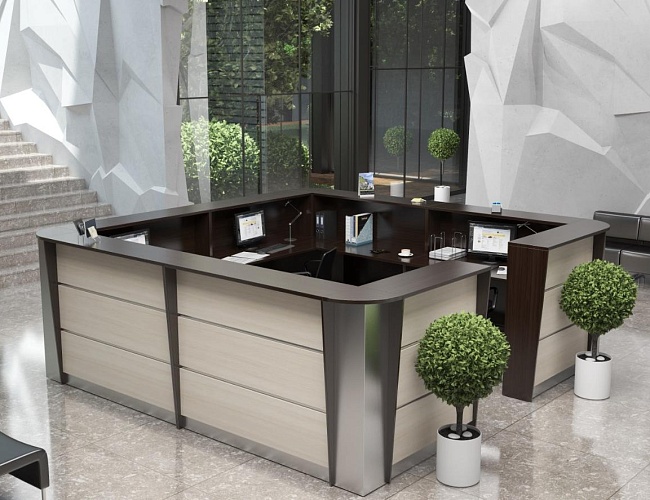 фото ресепшн Rapid White №4