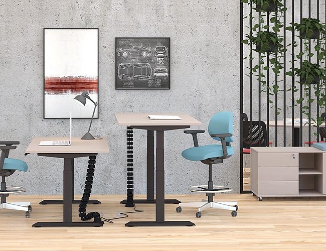 фото мебель Motum Plus №4