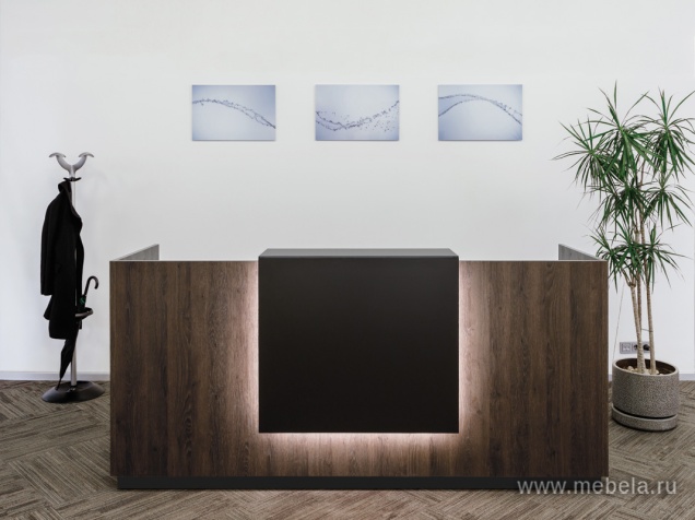 ресепшн Fasta