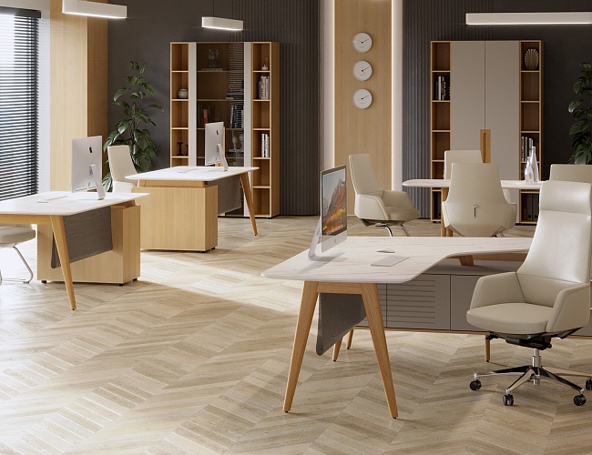 фото кабинет Remo White №3