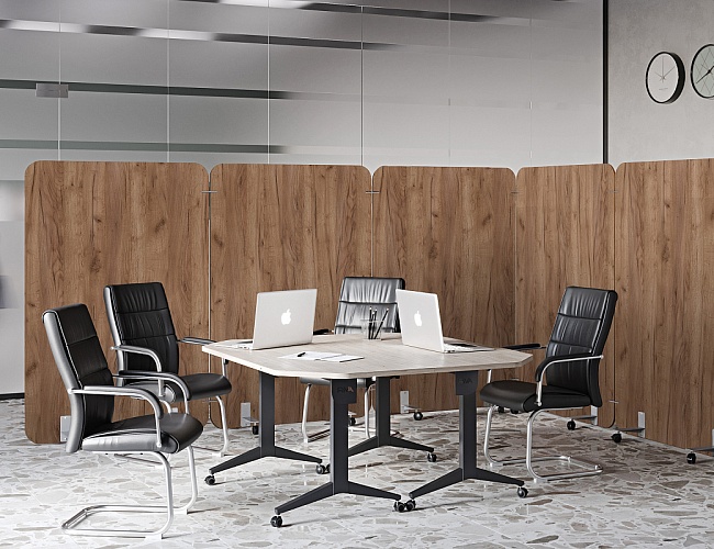 фото перегородки Р-лайн №2