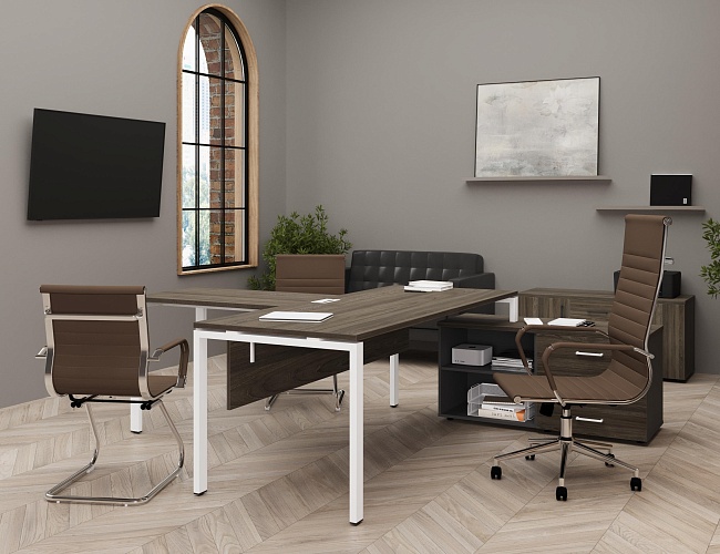 фото кабинет Project Elm №2