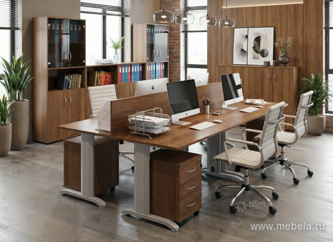 Офисная мебель Riva