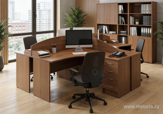 Офисная мебель Riva