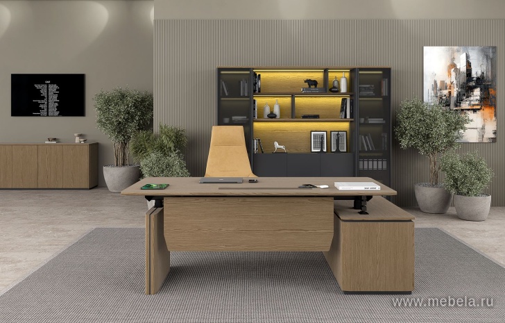 Кабинет руководителя Ion