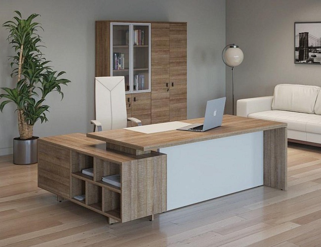 фото кабинет руководителя Terra White