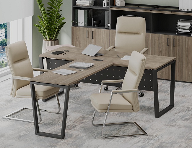 фото кабинет Project Elm T №4