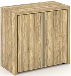 Офисный шкаф низкий широкий (2 низких фасада ЛДСП)