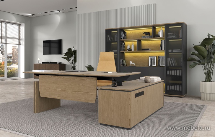 Кабинет руководителя Ion