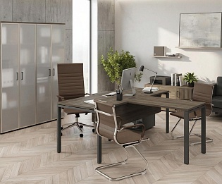 фото кабинет Проджект Вяз 