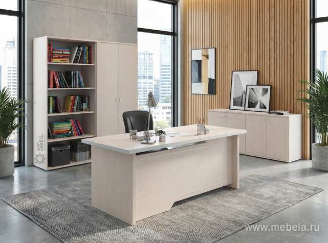 кабинет Zoom White