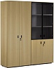 Офисный шкаф для документов комбинированный