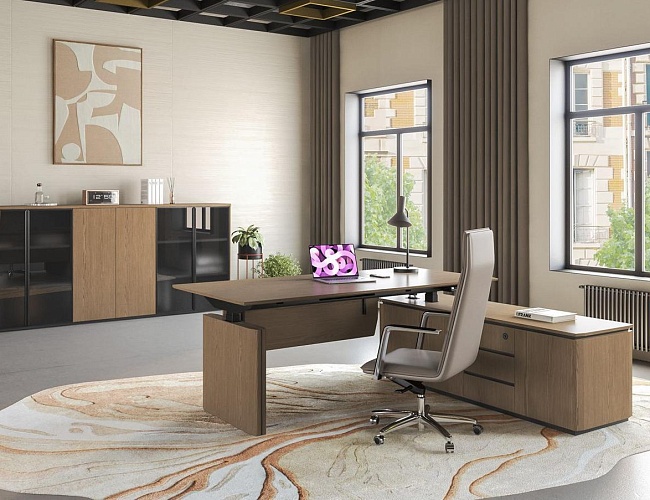 фото Кабинет руководителя Ion №4