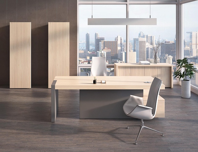 фото кабинет руководителя Era №4