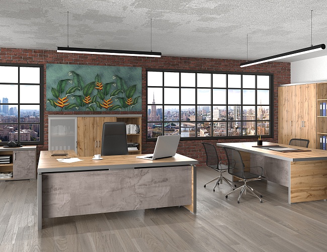 фото кабинет директора Турин №3