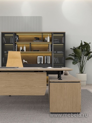 Кабинет руководителя Ion