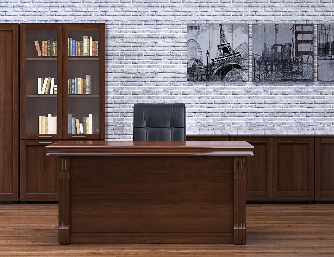 фото кабинет директора Lion №4