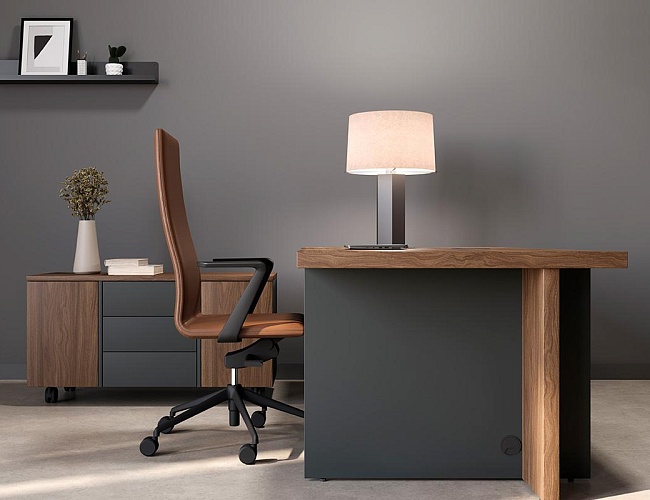 фото кабинет офисный Faber №2