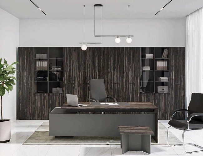 фото мебель руководителя Дали №4