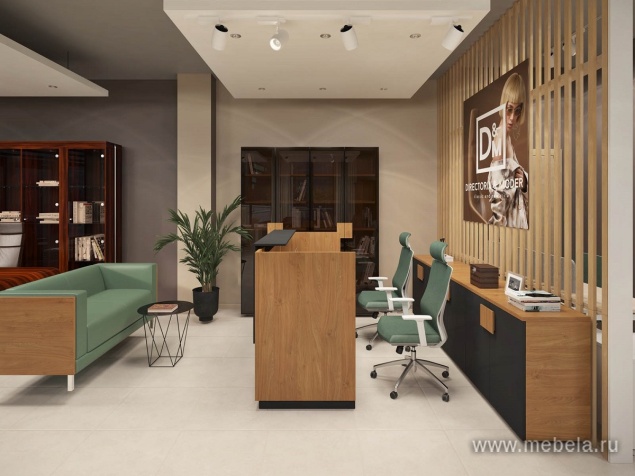 ресепшн Kyu DM