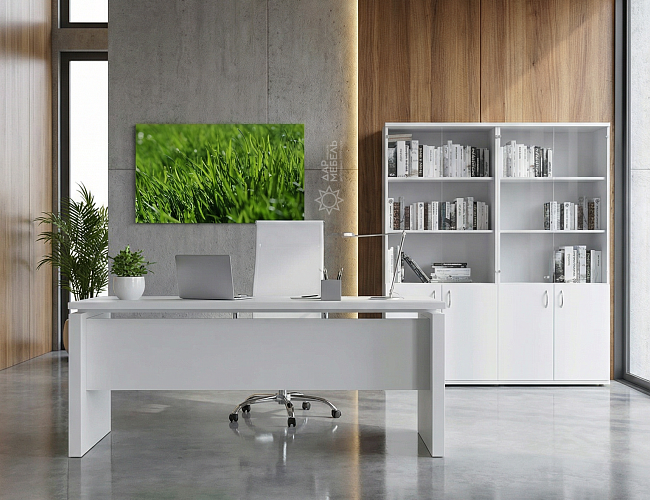 фото кабинет Steel Evo White