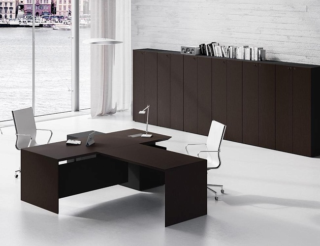 фото кабинет руководителя MultipliCEO №2