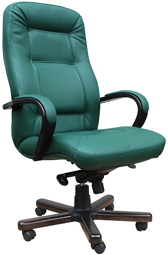 фото кресло Ника-Лагуна MP №5