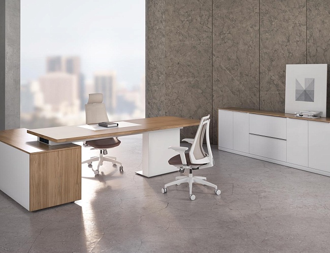 фото кабинет руководителя Alpina №4