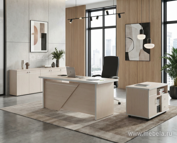 кабинет Zoom White