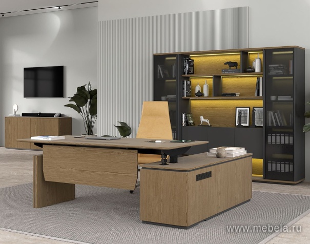 Кабинет руководителя Ion