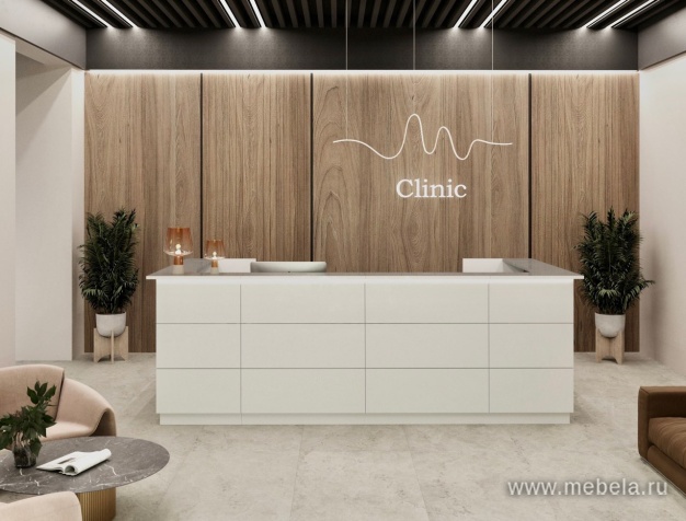 ресепшн Steel White