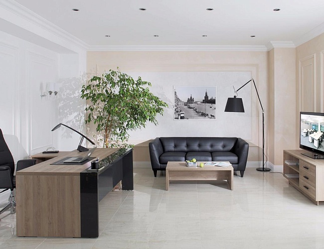 фото кабинет директора Lava №2