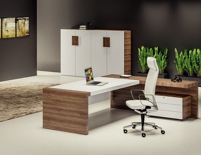 фото кабинет руководителя Kyo №2