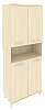Офисный шкаф высокий широкий