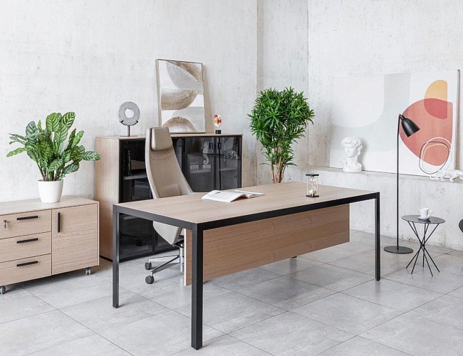 фото кабинет Enzo Black