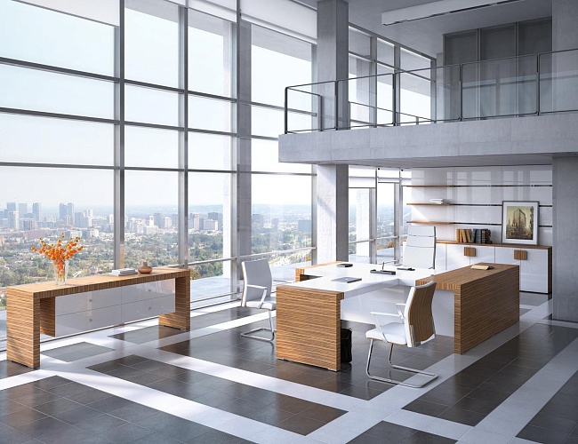 фото кабинет руководителя Kyu №3